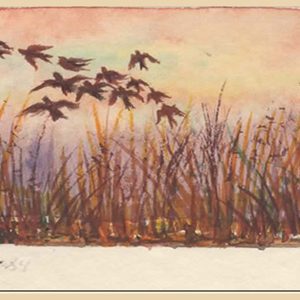 Geese Over Fall Marsh