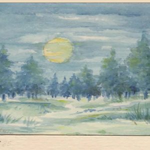 Full Moon in Winter