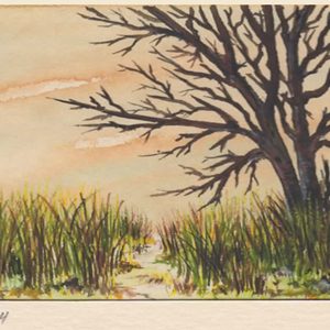 Tree in Late Fall Over Tall Grasses