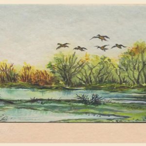 Geese Over a Beautiful Woodland Pond