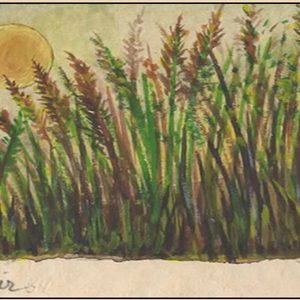 Beautiful Marsh
